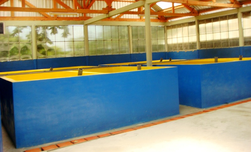 Research for fish Buildig : Structure Work, Architectural Work, Plumbing Work 